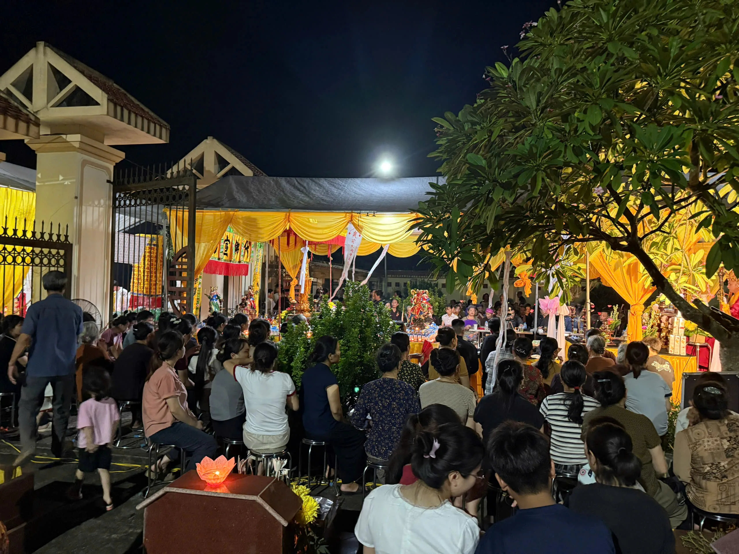 3c3133fd03668938d07720 1